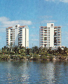 Carisa Y Palma